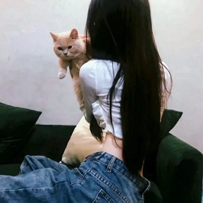 傲骨贤妻第七季